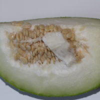 Ash Gourd (1 lb)