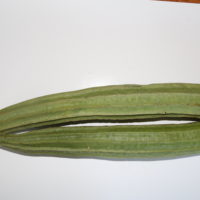Ridge Gourd (1 lb)