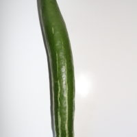 Snake Gourd (1)